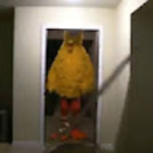 Meet your Posher, Briana